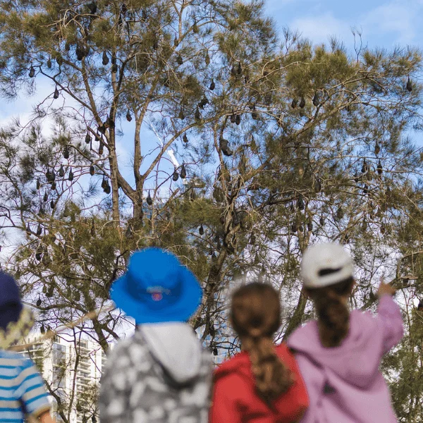 Four children in colorful clothing look up at tall, wispy trees beneath a bright blue sky; one points, creating a curious outdoor mood.