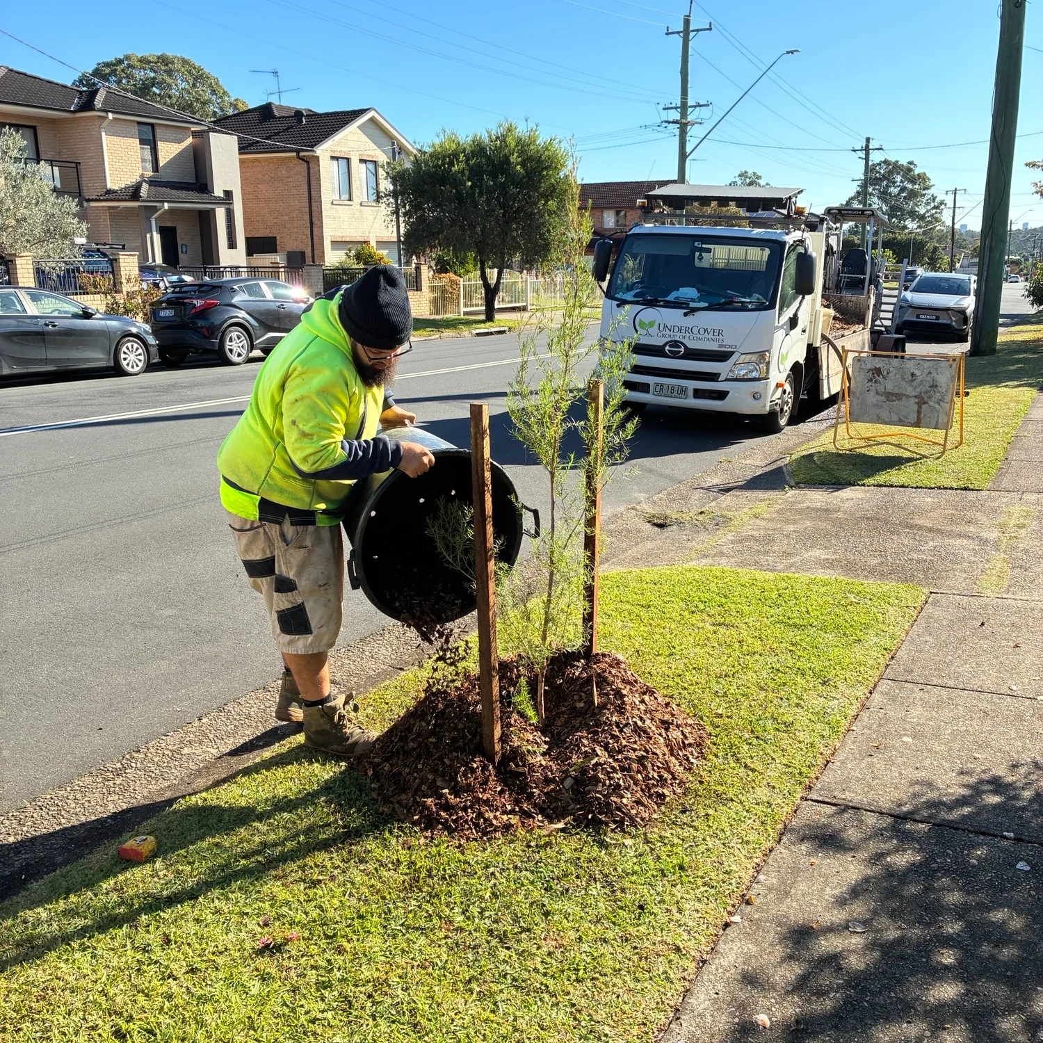 A person in a high-visibility vest and beanie is planting a small tree on a grassy verge next to a sidewalk. A white truck with a company logo is parked behind them on the street.