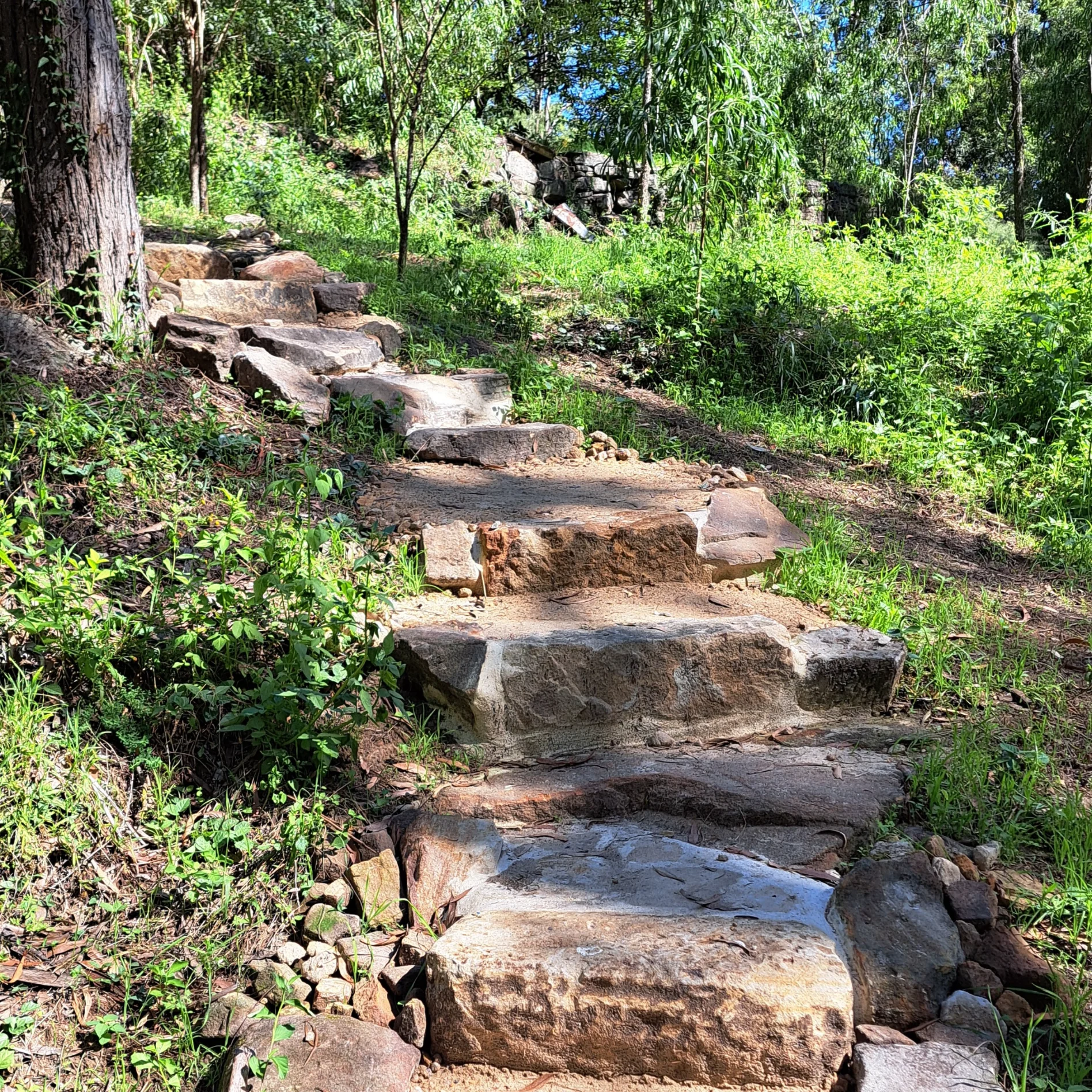 sandstone footpath in lush green surrounding at Orange Pye bushwalking track in North Rocks. North Rocjs