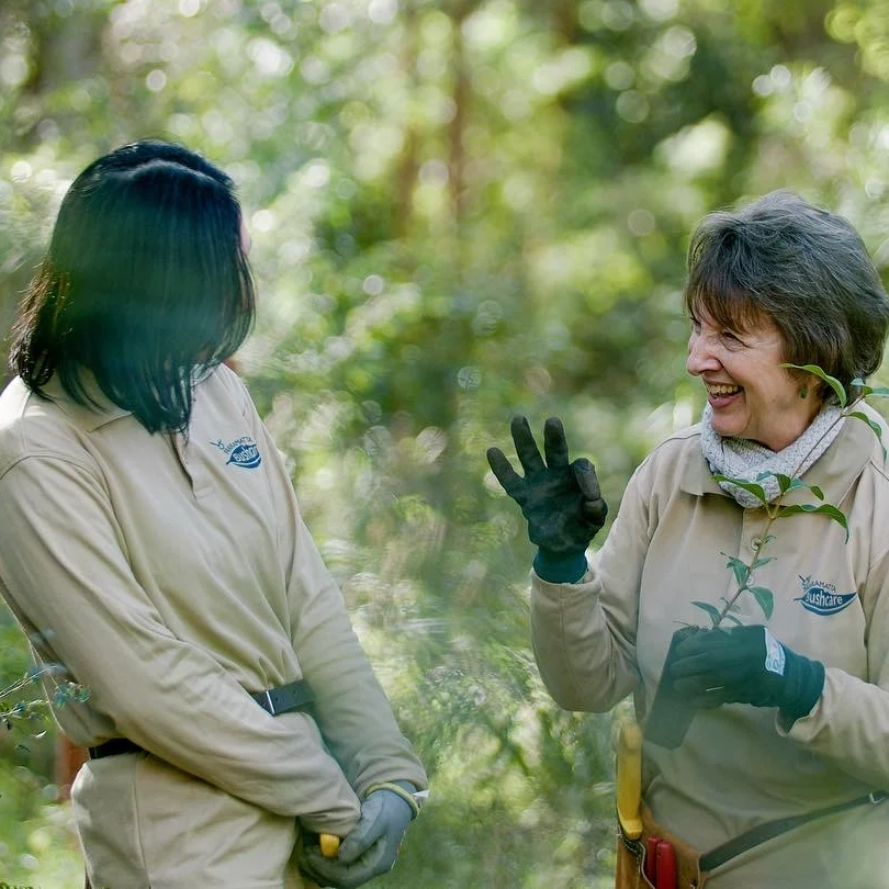 Two people in beige uniforms share a joyful conversation while working in a lush, green forest. Sunlight filters through, creating a serene atmosphere.
