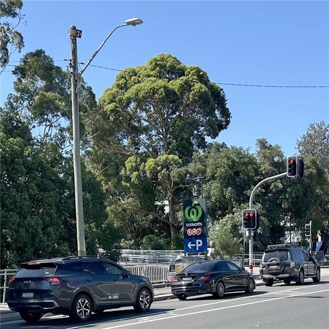 A traffic light at red with cars stopped on a road beside lush green trees. A Woolworths sign with parking directions is visible. The sky is clear blue.