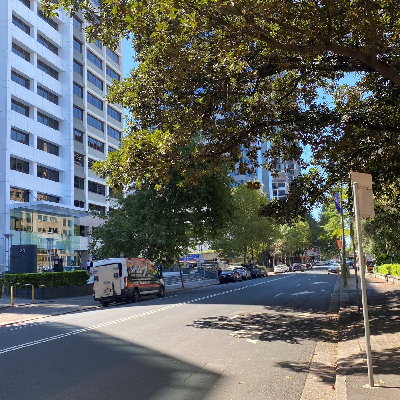 Street scape view of George Street