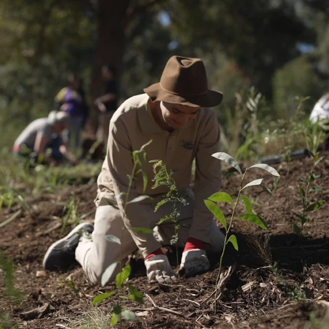 Man in tan uniform and brown hat and gloves plants plant in ground