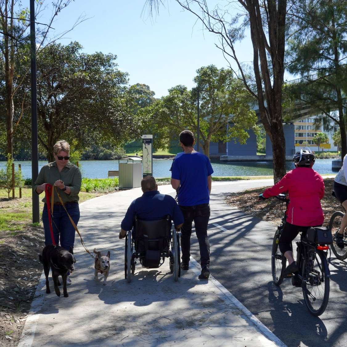A sunny park scene with people walking dogs, riding bicycles, and one person in a wheelchair on a paved path. Trees and a lake are in the background.