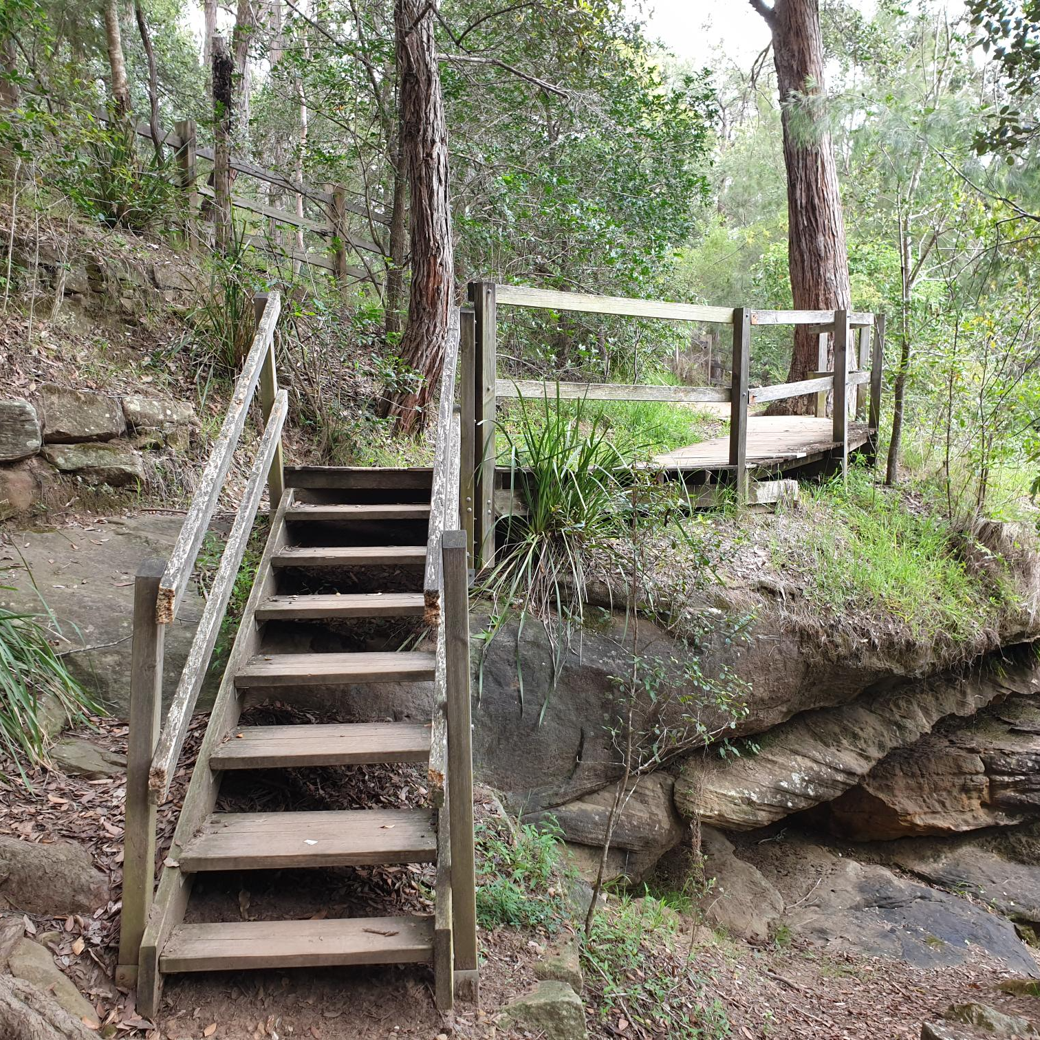 Wooden staircase on Lake Parramatta bushwalking track